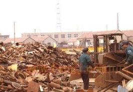 石家庄钢铁爆料最新消息